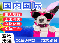三家子空运国际宠物托运 【国